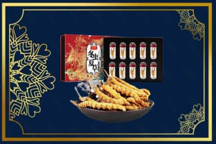 锦州市义县回收虫草